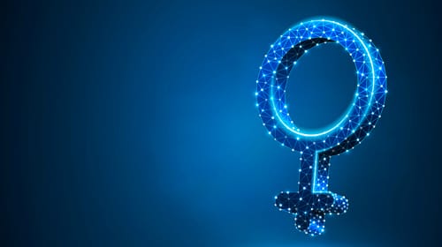Comentarios al proyecto de Ley Modelo Interamericana para prevenir, sancionar y erradicar la violencia digital contra las mujeres por razones de género